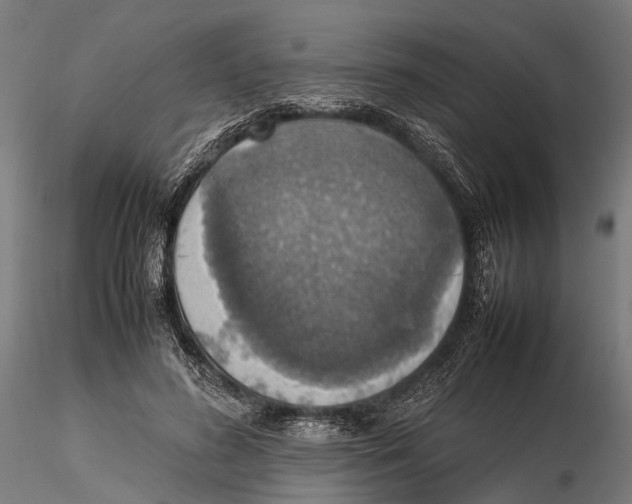 X0000115580596200912081027