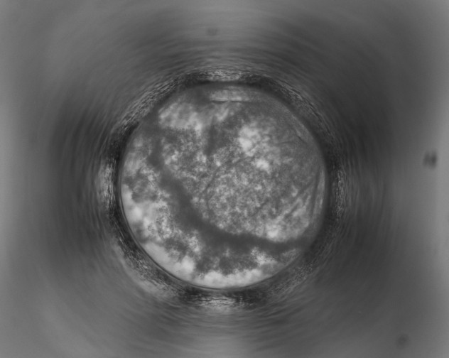 X0000115580598200912081027