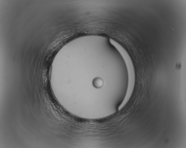 X0000115580599200912081027