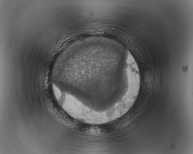 X0000115580600200912081027