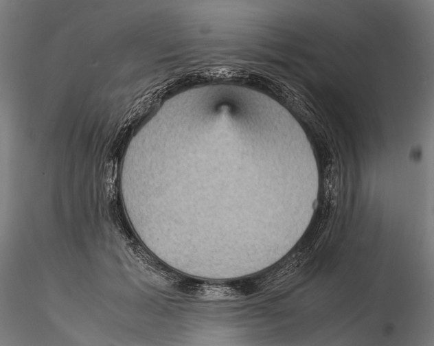 X0000115580605200912081027