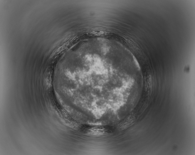 X0000115580606200912081027