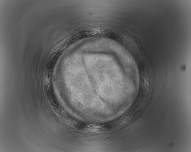 X0000115580607200912081027