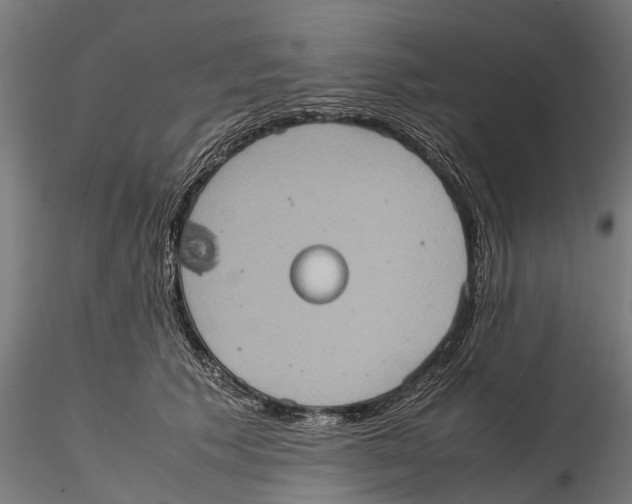 X0000115580609200912081027