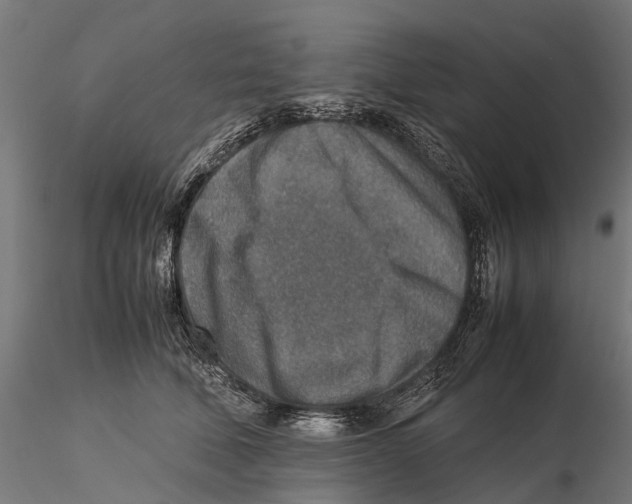 X0000115580610200912081027