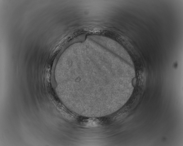 X0000115580612200912081027