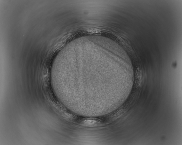 X0000115580614200912081027