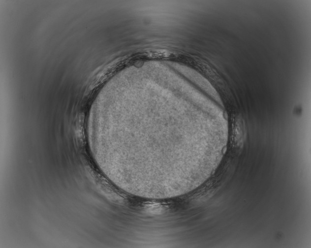 X0000115580616200912081027