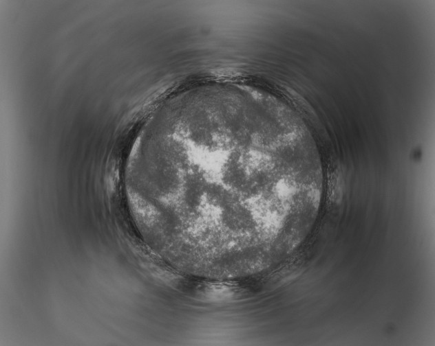 X0000115580618200912081027