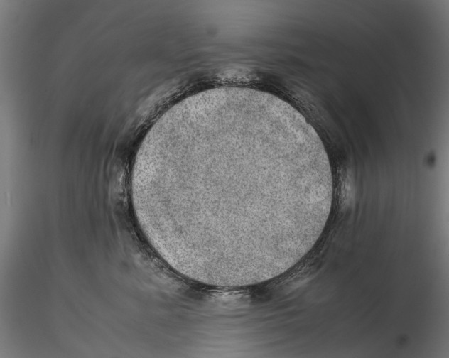 X0000115580619200912081027