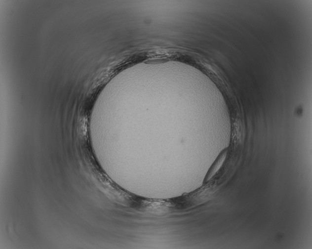 X0000115580621200912081027