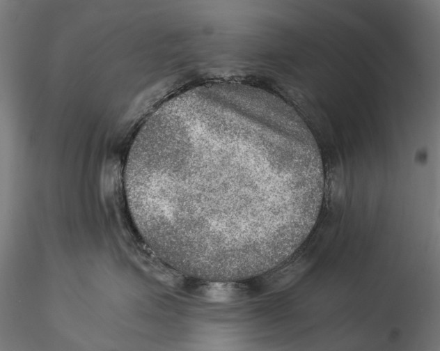 X0000115580623200912081027