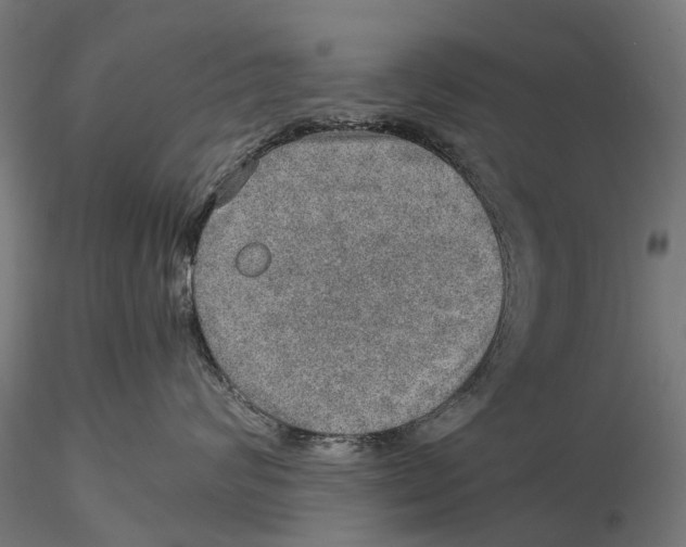 X0000115580624200912081027