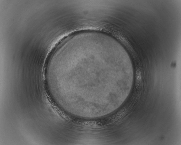 X0000115580628200912081026