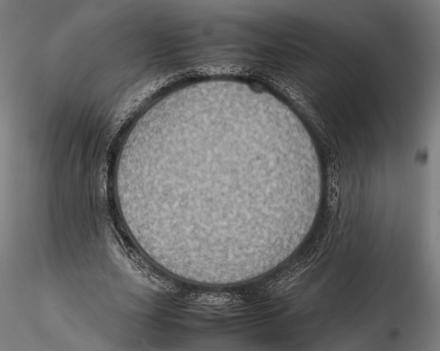 X0000115580631200912081027