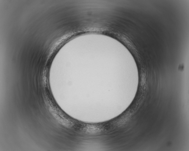 X0000115580632200912081027