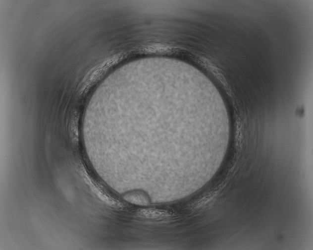 X0000115580633200912081027