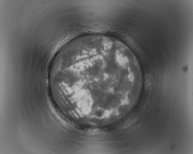 X0000115580634200912081027