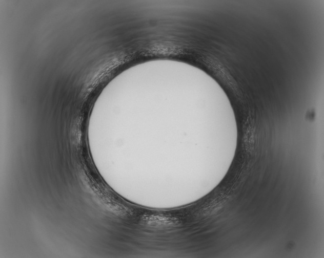 X0000115580635200912081027