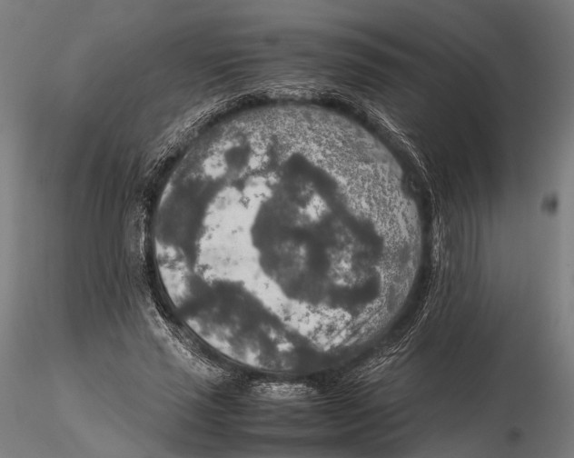 X0000115580637200912081027