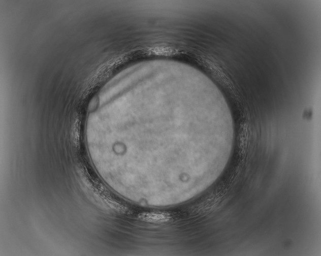 X0000115580639200912081027