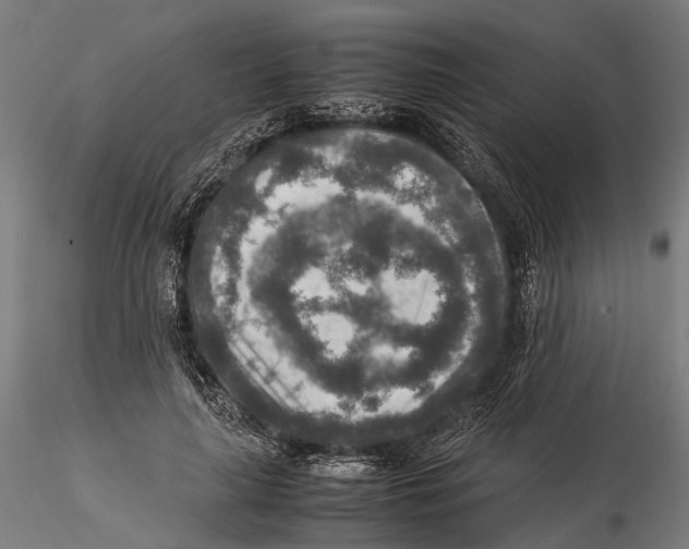 X0000115580643200912081027