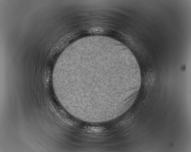 X0000115580645200912081027