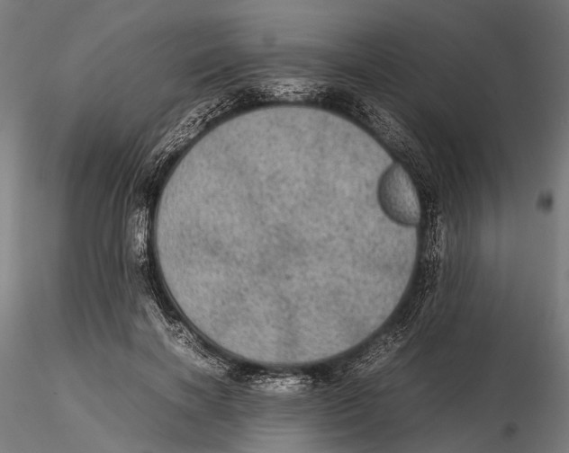 X0000115580646200912081027