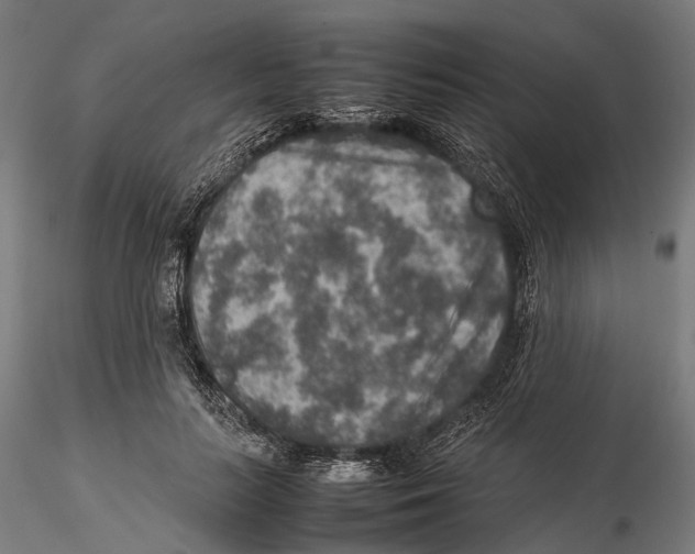 X0000115580647200912081027