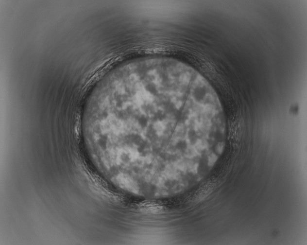 X0000115580648200912081027