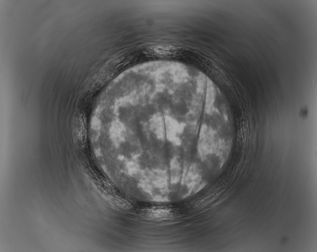 X0000115580651200912081027