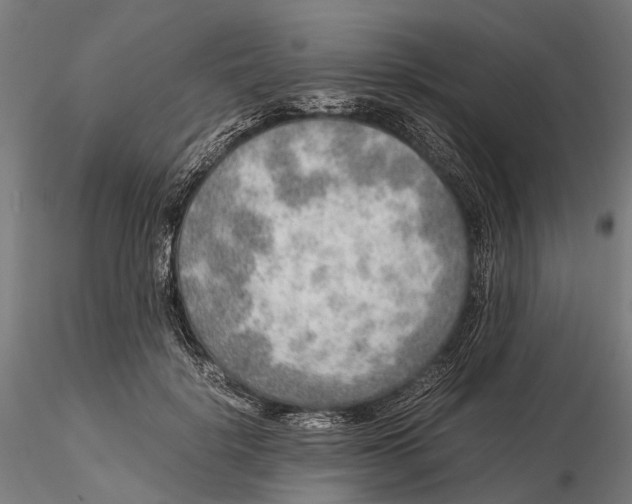 X0000115580652200912081027