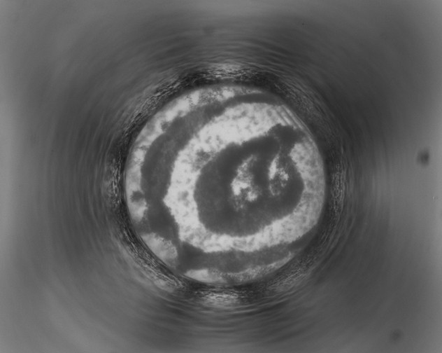 X0000115580653200912081027