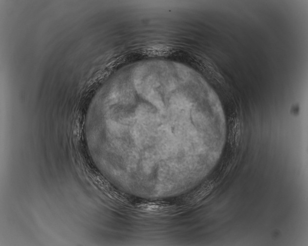 X0000115580655200912081027