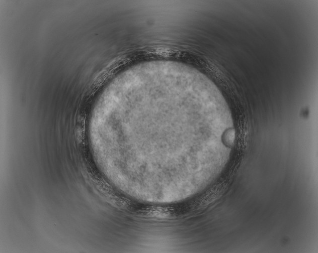 X0000115580656200912081027