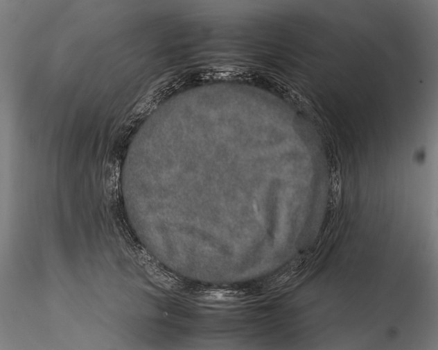 X0000115580657200912081027