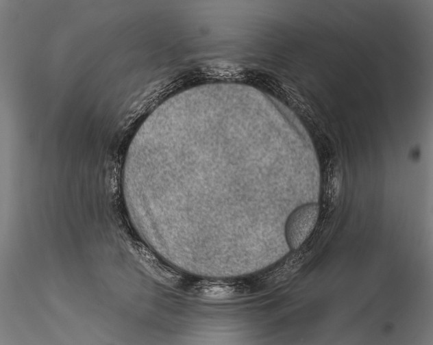 X0000115580658200912081027