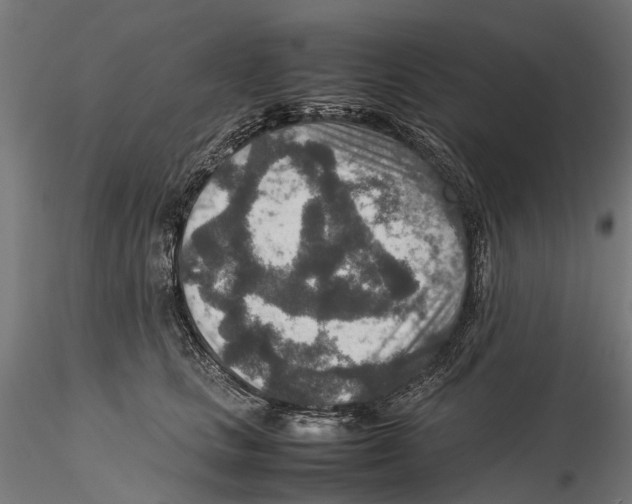 X0000115580661200912081027