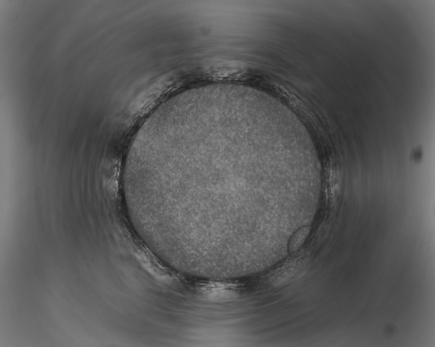 X0000115580664200912081027