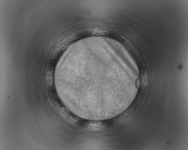 X0000115580666200912081027