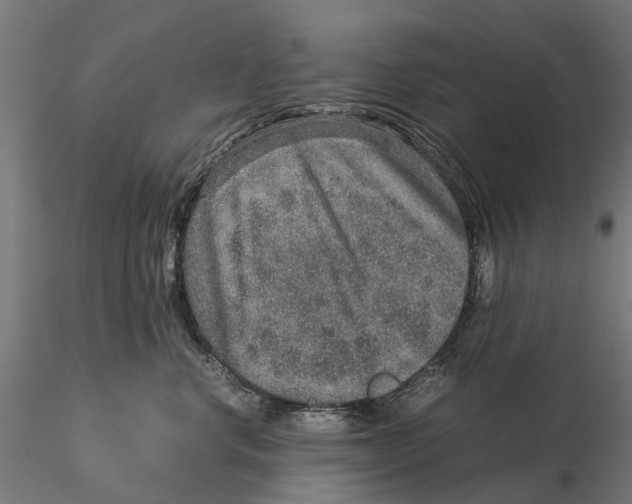 X0000115580668200912081027