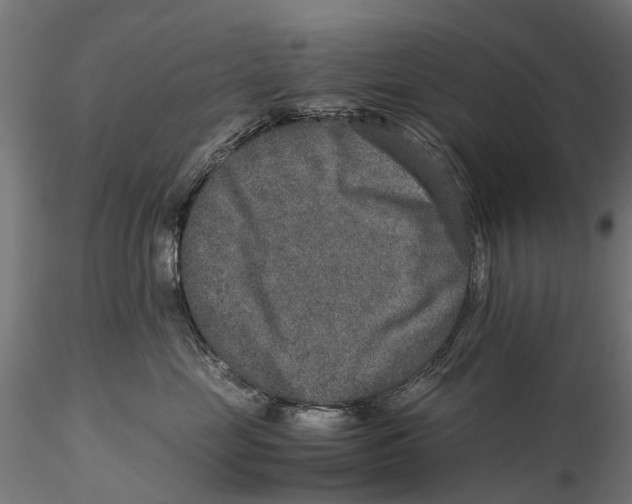 X0000115580669200912081027