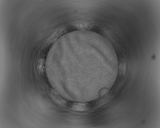 X0000115580671200912081027