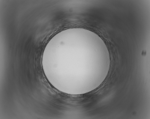 X0000115580672200912081027