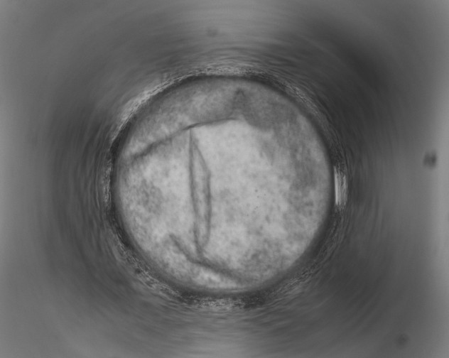 X0000115580675200912081026