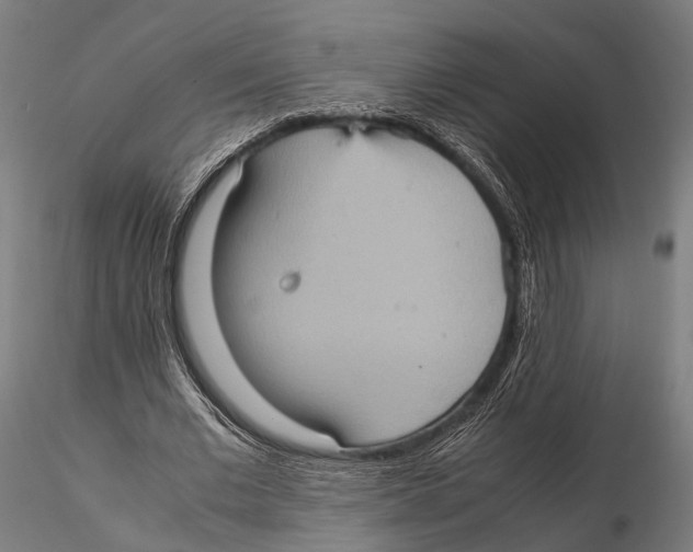 X0000115580677200912081026