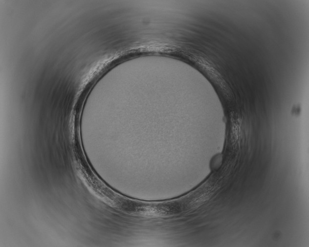 X0000115580678200912081026