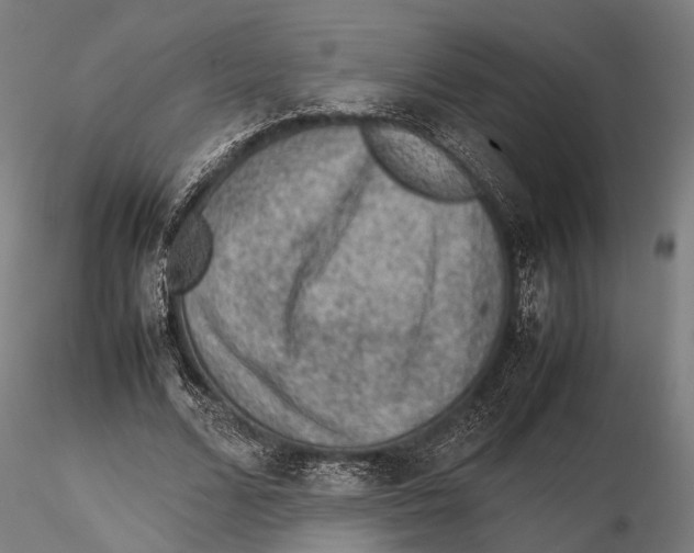 X0000115580680200912081026