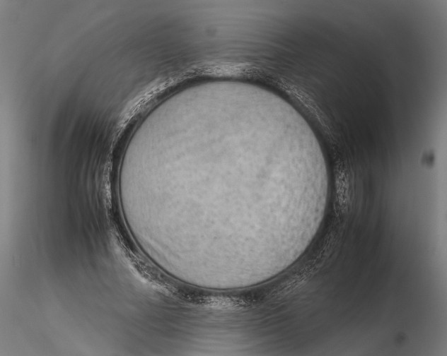 X0000115580682200912081026