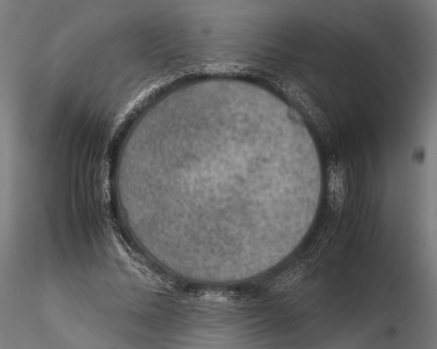 X0000115580684200912081026